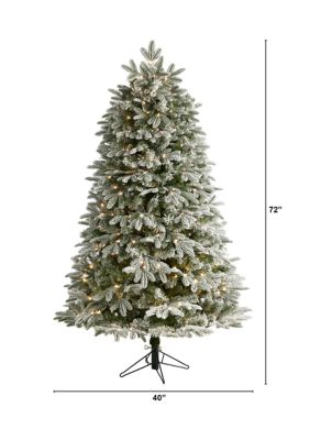 6-Foot Flocked Colorado Mountain Fir Artificial Christmas Tree with 500 Warm White Microdot (Multifunction) LED Lights with Instant Connect Technology and 881 Bendable Branches