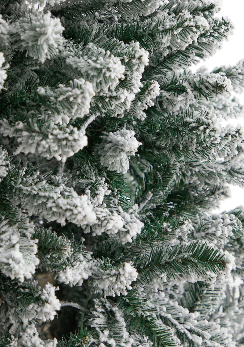 6 Slim Flocked Montreal Fir Artificial Christmas Tree with 250 Warm White LED Lights and 743 Bendable Branches