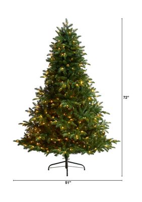 6' South Carolina Spruce Artificial Christmas Tree with 400 White Warm Lights and 1908 Bendable Branches