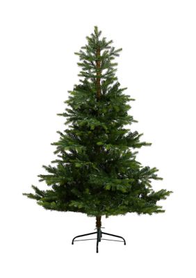 6 Foot North Carolina Spruce Artificial Christmas Tree with 350 Clear Lights and 631 Bendable Branches