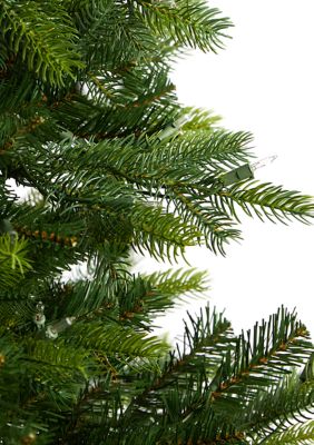 6 Foot North Carolina Spruce Artificial Christmas Tree with 350 Clear Lights and 631 Bendable Branches