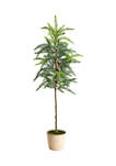 3.5 Foot Winnipeg Artificial Pine Tree in Decorative Planter