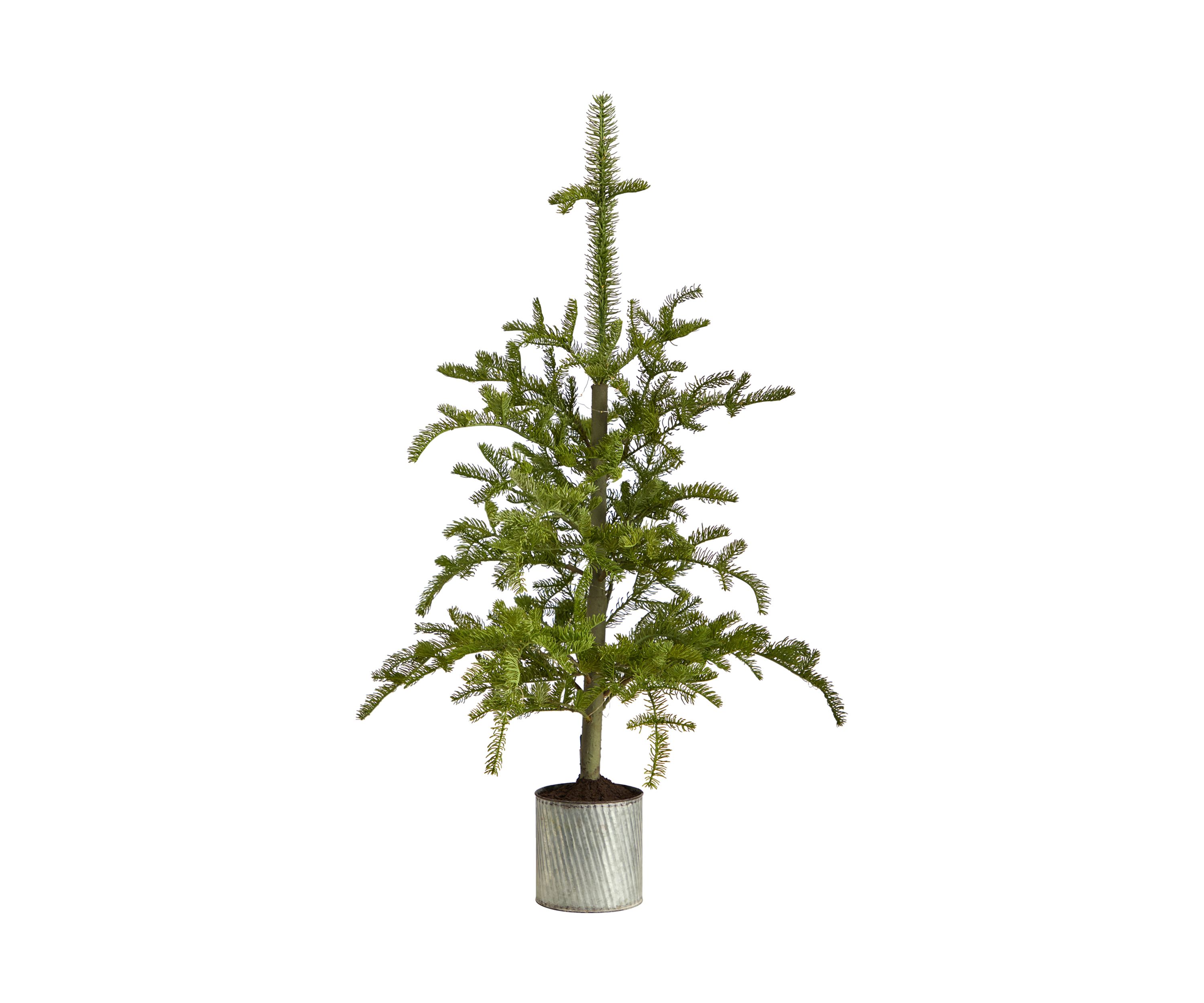 4.5-Foot Pre-Lit Christmas Pine Artificial Tree in Decorative Planter