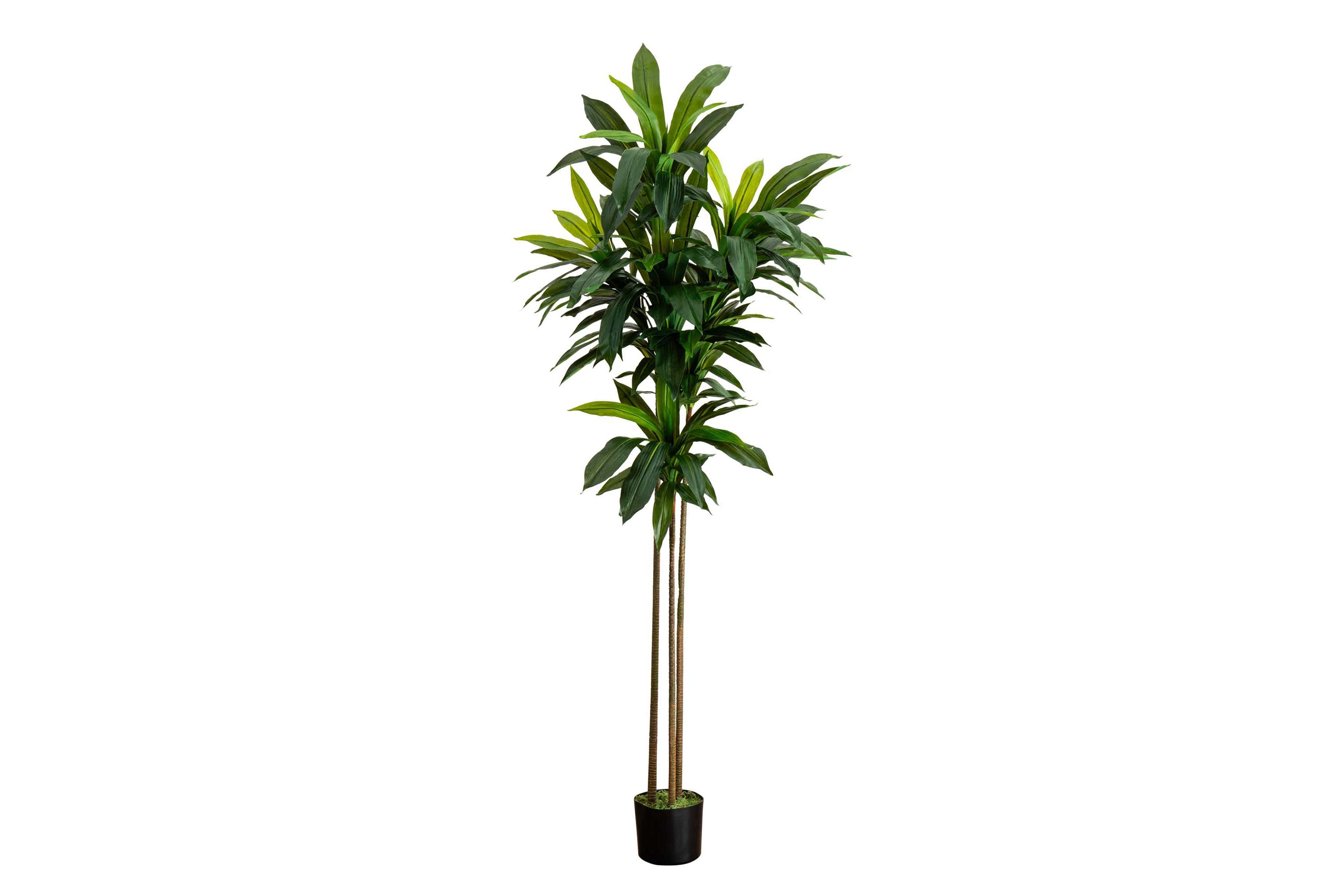 7ft. Artificial Dracaena Tree with Real Touch Leaves