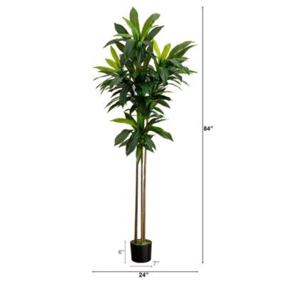 7ft. Artificial Dracaena Tree with Real Touch Leaves