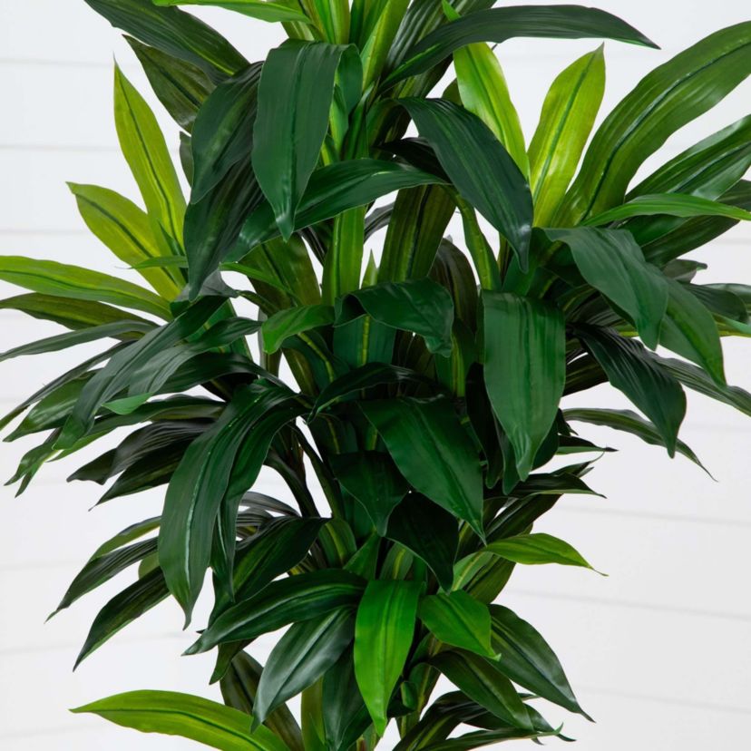 7ft. Artificial Dracaena Tree with Real Touch Leaves