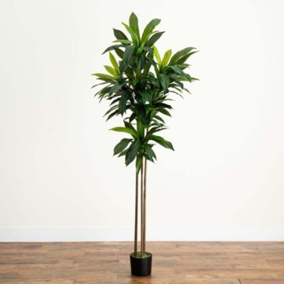 7ft. Artificial Dracaena Tree with Real Touch Leaves