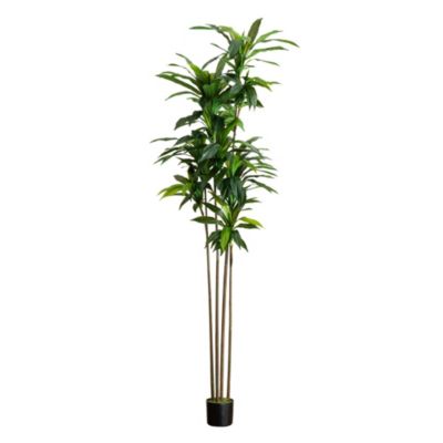 8ft. Artificial Dracaena Tree with Real Touch Leaves