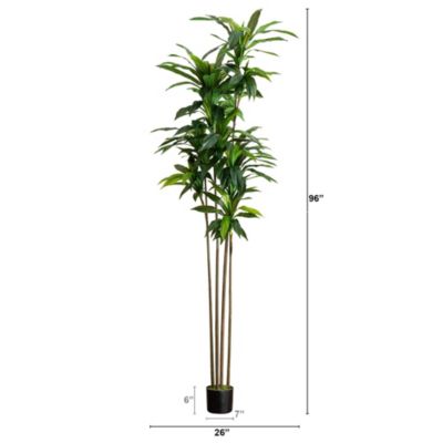 8ft. Artificial Dracaena Tree with Real Touch Leaves