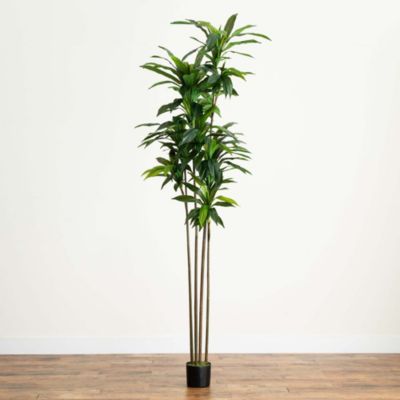 8ft. Artificial Dracaena Tree with Real Touch Leaves