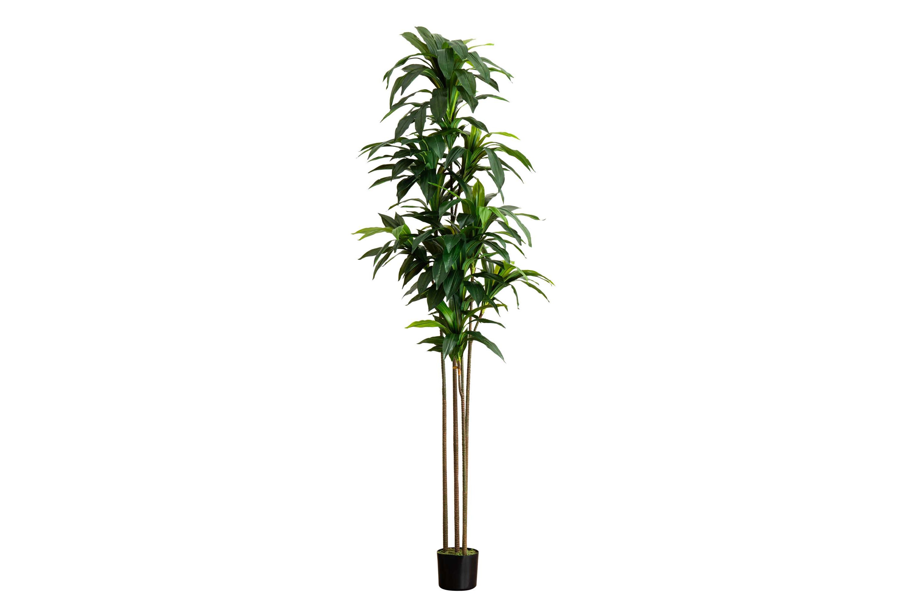 9ft. Artificial Dracaena Tree with Real Touch Leaves