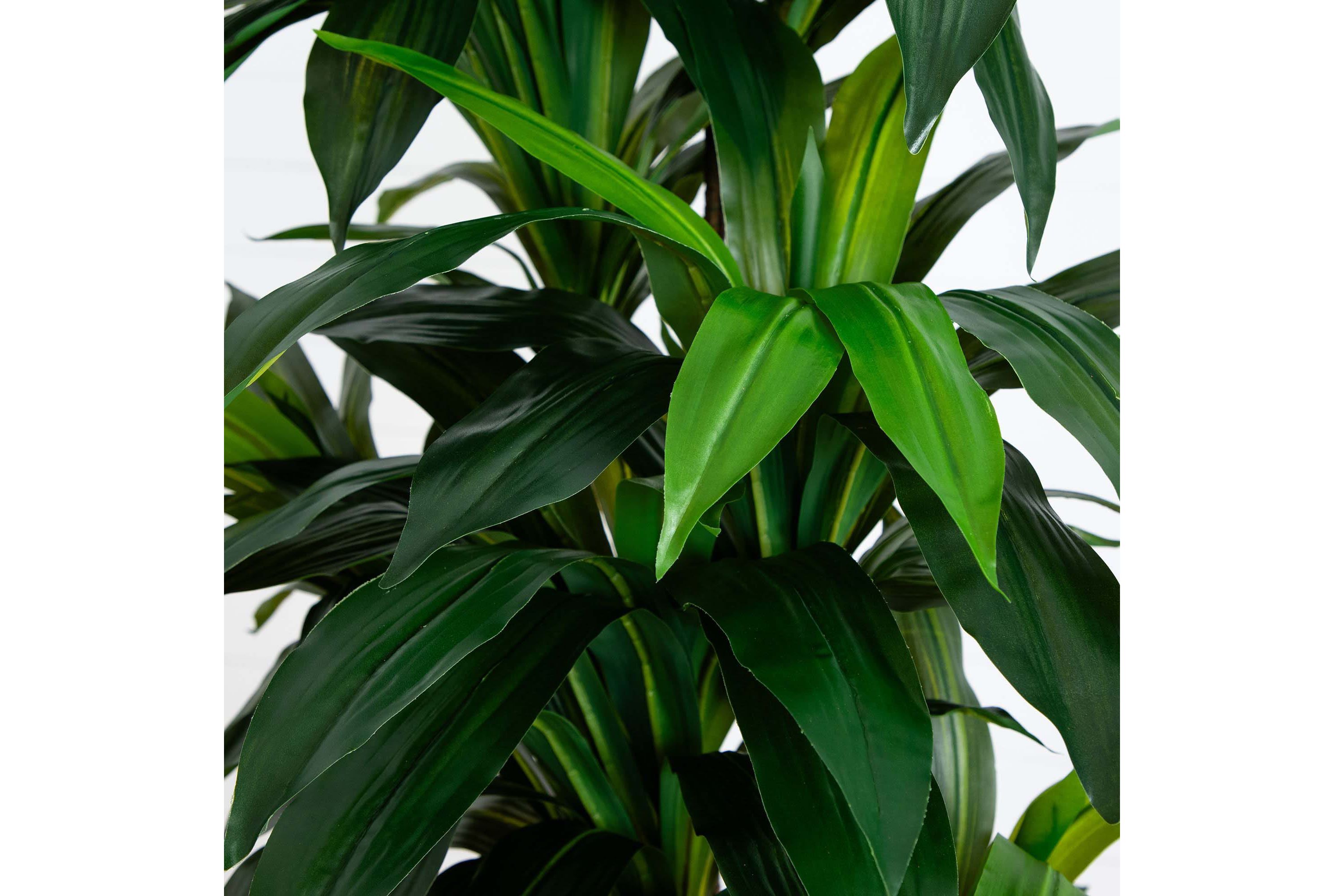 9ft. Artificial Dracaena Tree with Real Touch Leaves