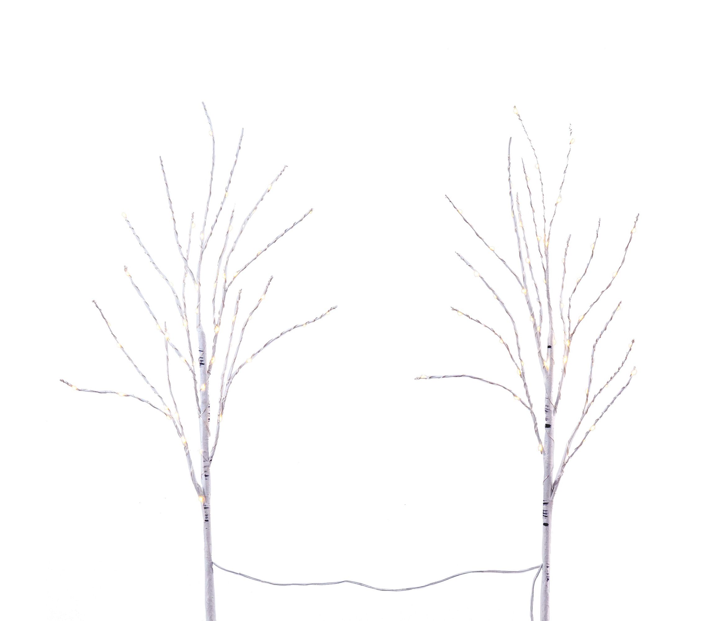 2.5-Foot Pre-Lit Artificial White Birch Branches with Warm White 100 Micro LED Lights (Set of 2)