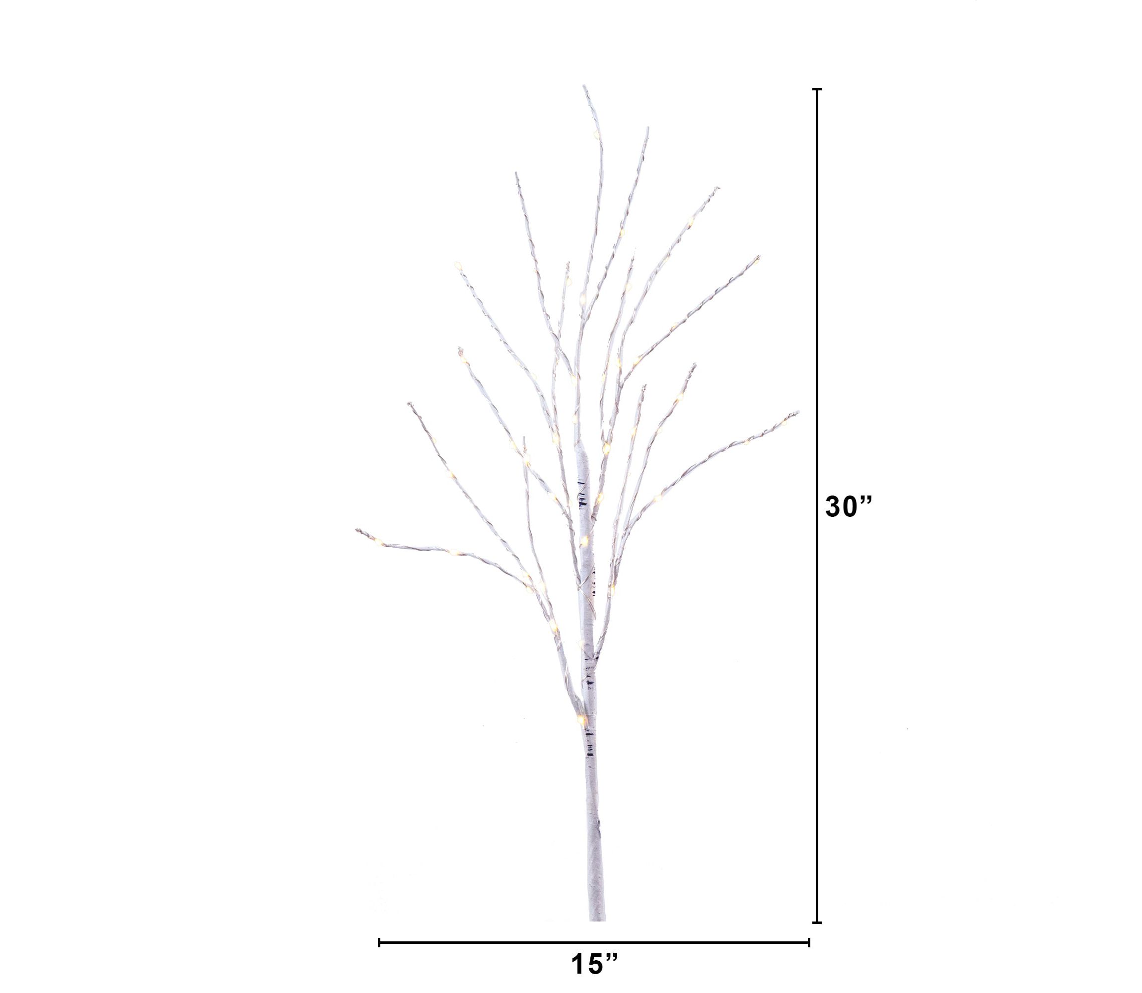 2.5-Foot Pre-Lit Artificial White Birch Branches with Warm White 100 Micro LED Lights (Set of 2)