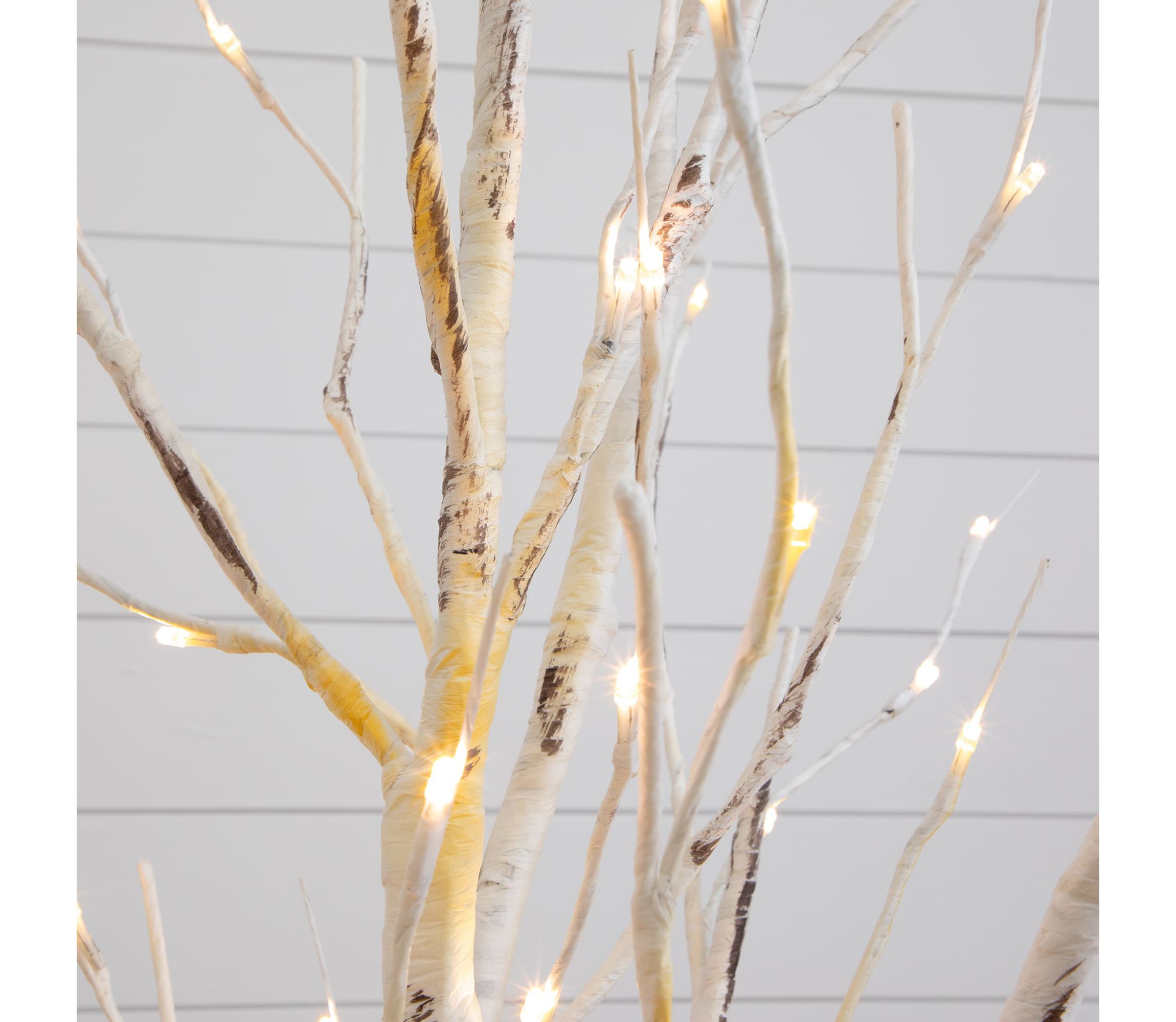 2.5-Foot Pre-Lit Artificial White Birch Branches with Warm White 100 Micro LED Lights (Set of 2)