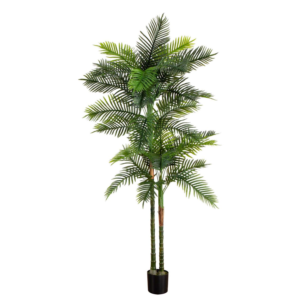 8ft. UV Resistant Artificial Double Robellini Palm Tree (Indoor/Outdoor)