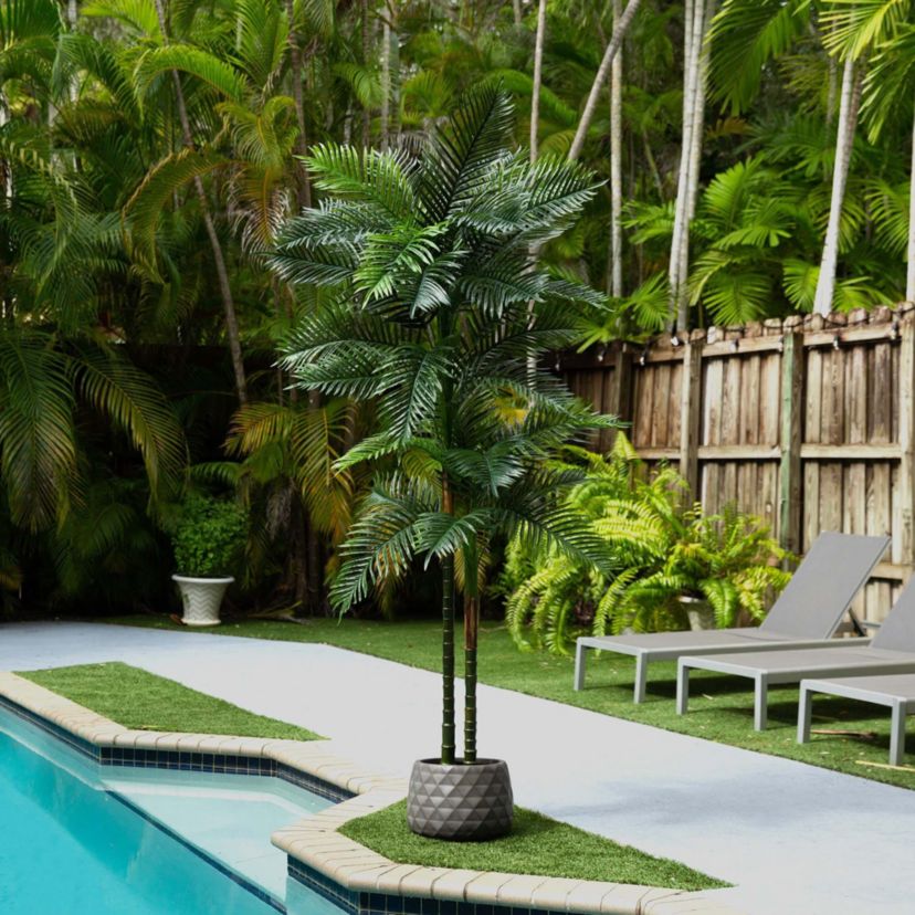 8ft. UV Resistant Artificial Double Robellini Palm Tree (Indoor/Outdoor)
