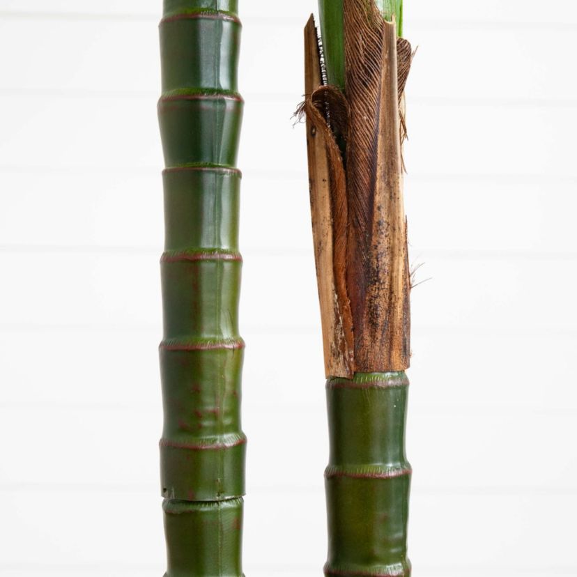 8ft. UV Resistant Artificial Double Robellini Palm Tree (Indoor/Outdoor)