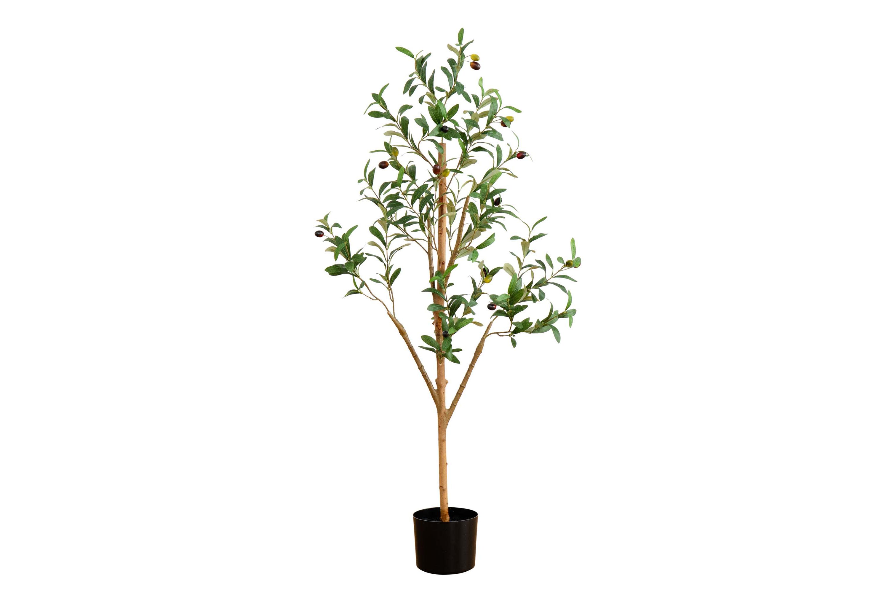 4ft. Artificial Olive Tree with Natural Trunk