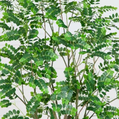 7ft. Artificial Greco Citrus Tree with Real Touch Leaves