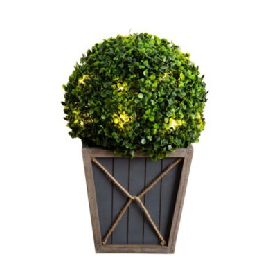 18in. UV Resistant Artificial Boxwood Ball Topiary with LED Lights in Decorative Planter (Indoor/Outdoor)