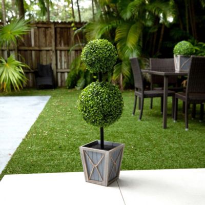 3ft. UV Resistant Artificial Double Ball Boxwood Topiary with LED Lights in Decorative Planter (Indoor/Outdoor)