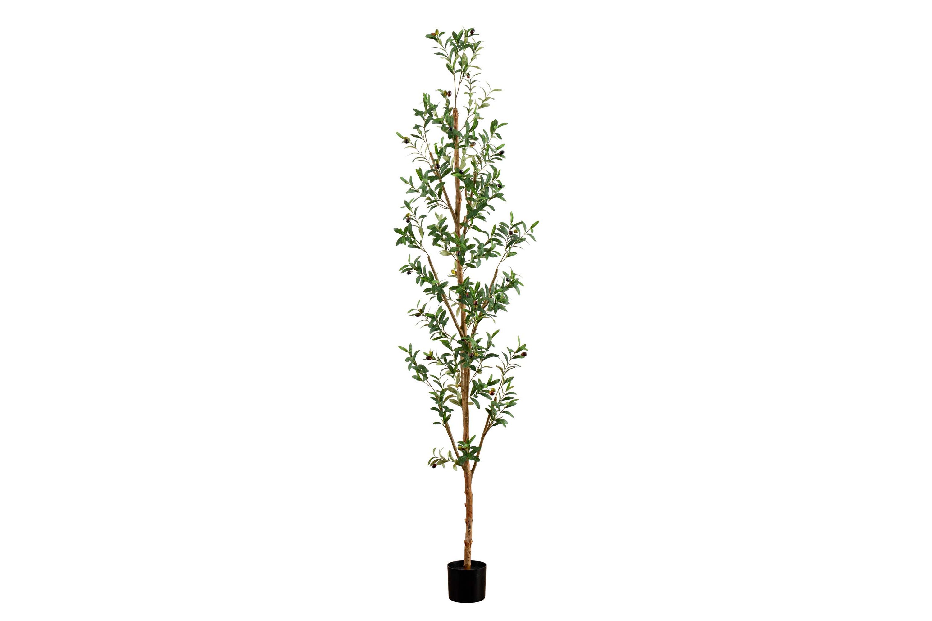 8ft. Artificial Olive Tree with Natural Trunk