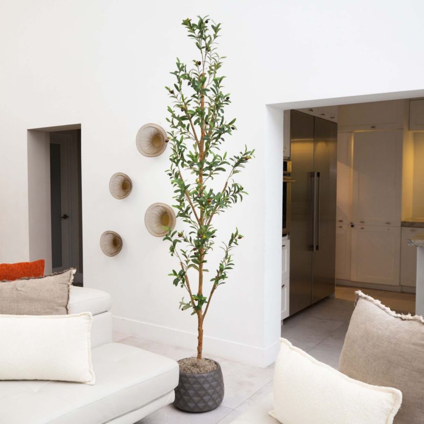 8ft. Artificial Olive Tree with Natural Trunk