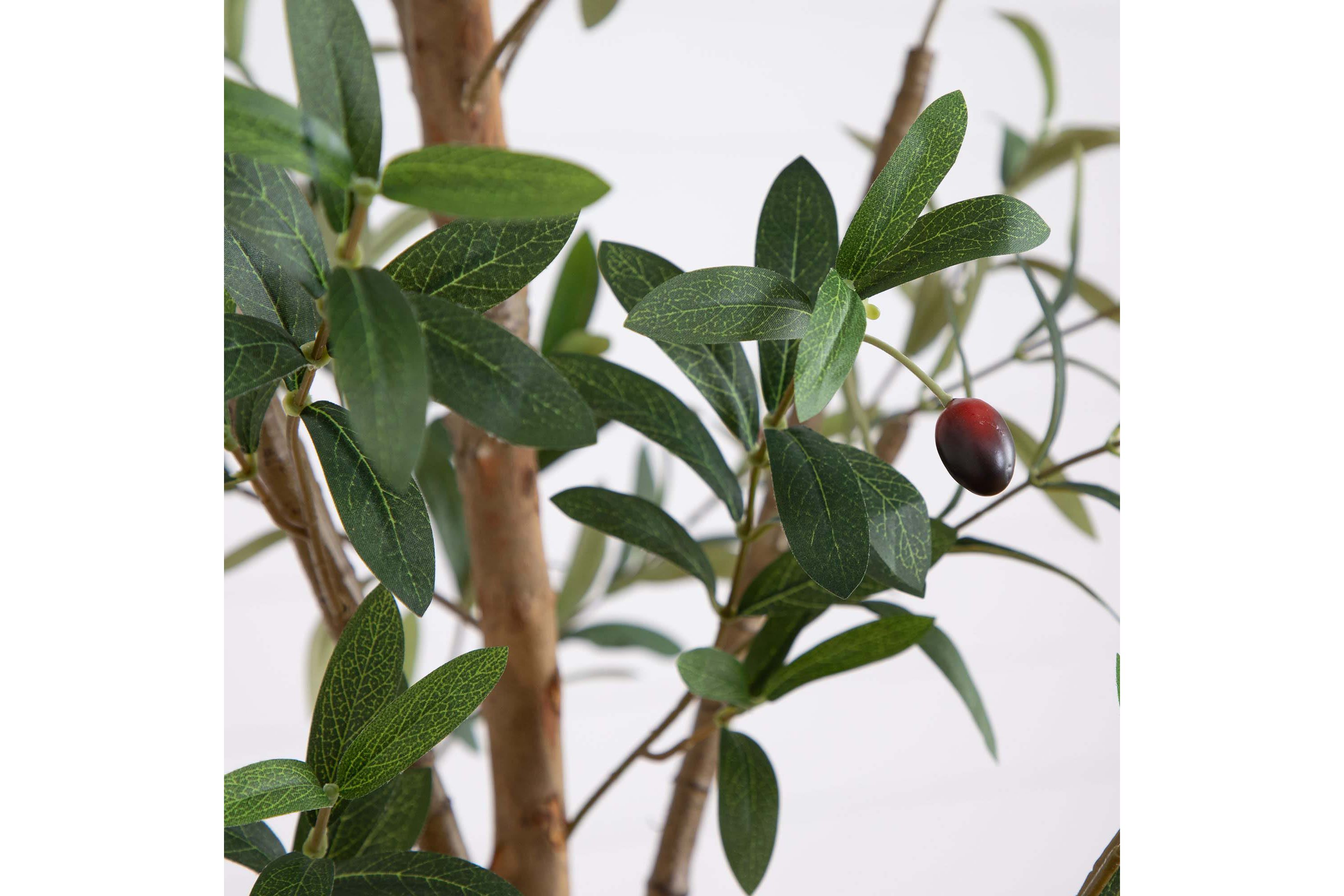 8ft. Artificial Olive Tree with Natural Trunk