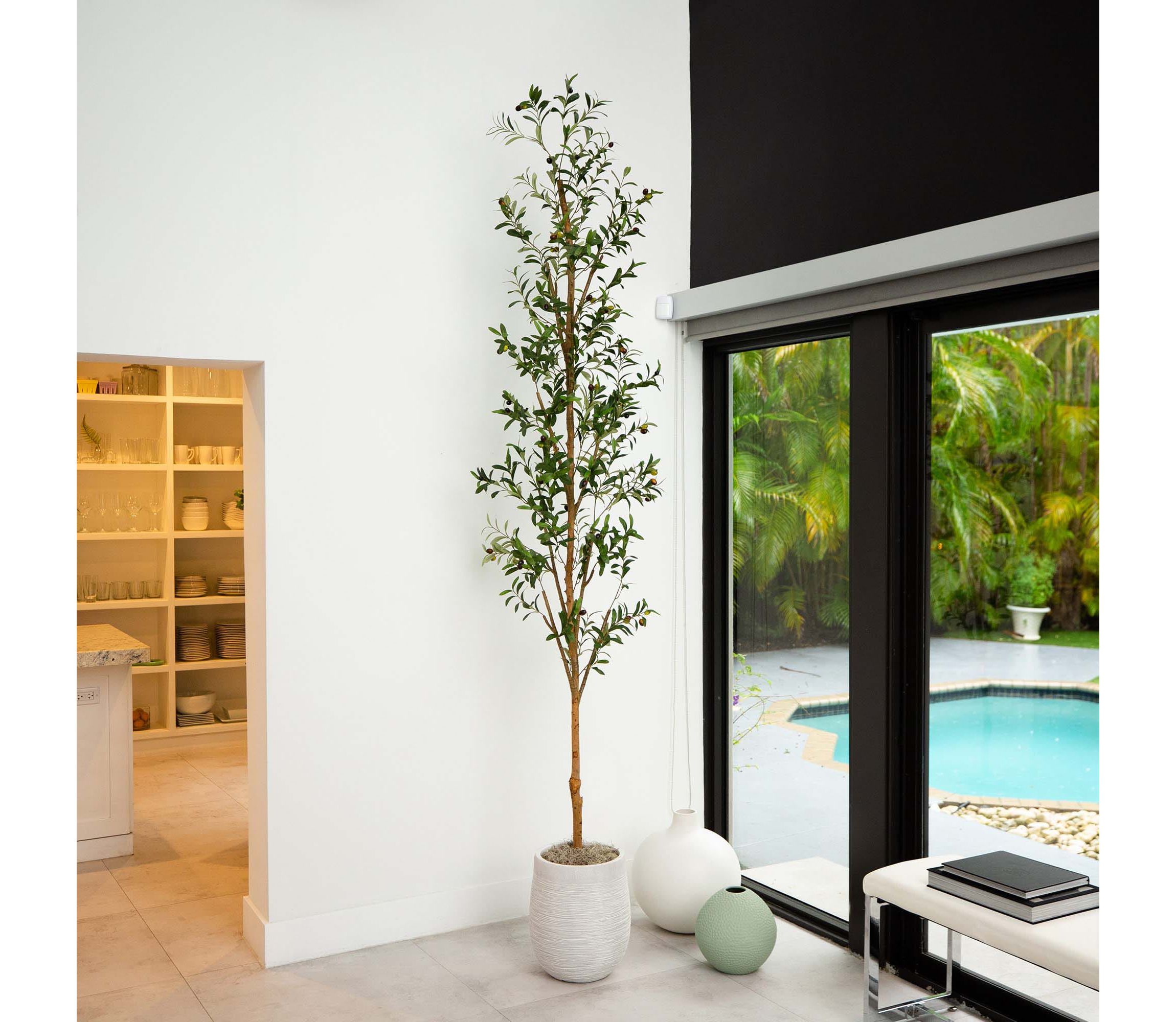9ft. Artificial Olive Tree with Natural Trunk
