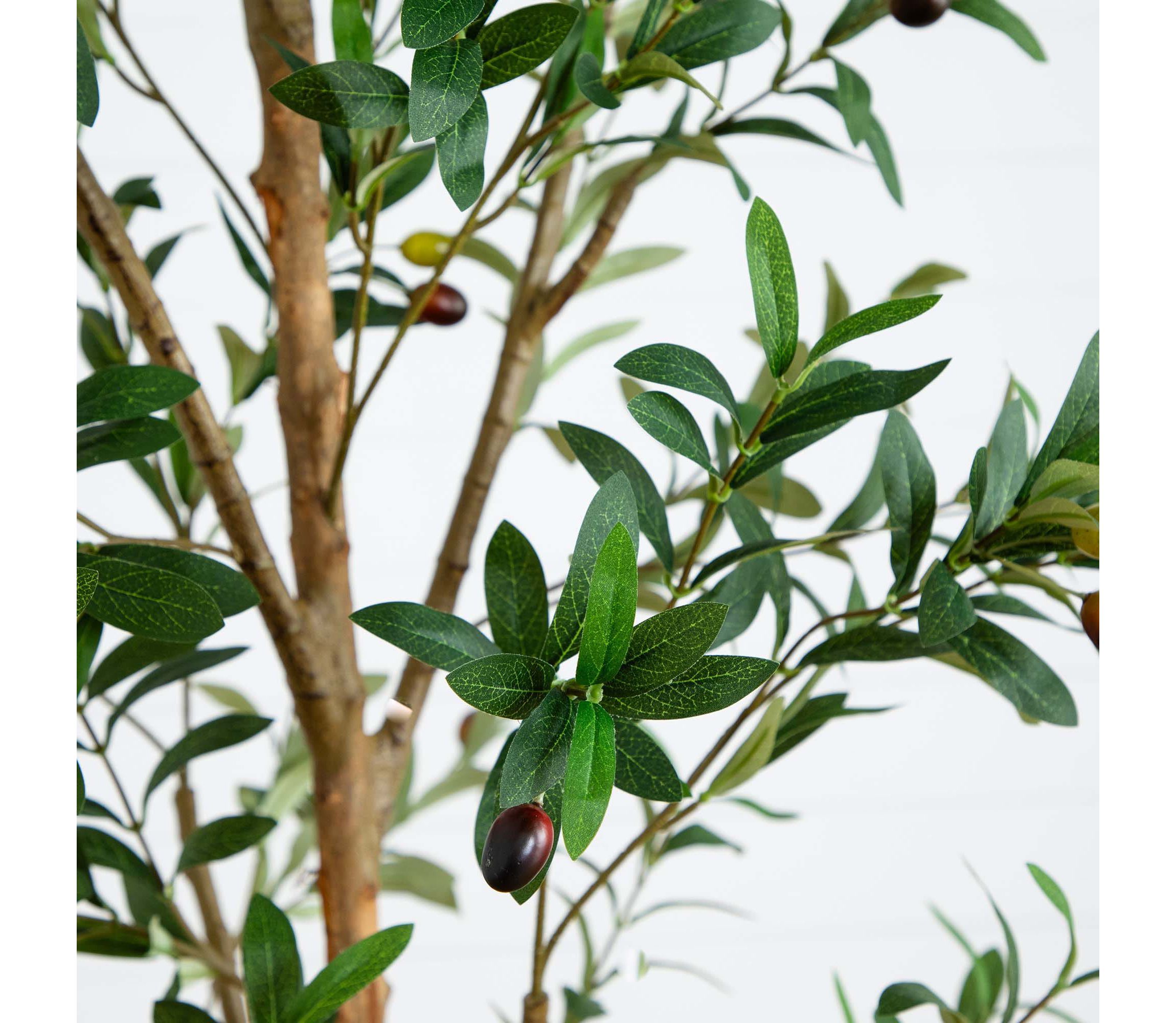 9ft. Artificial Olive Tree with Natural Trunk