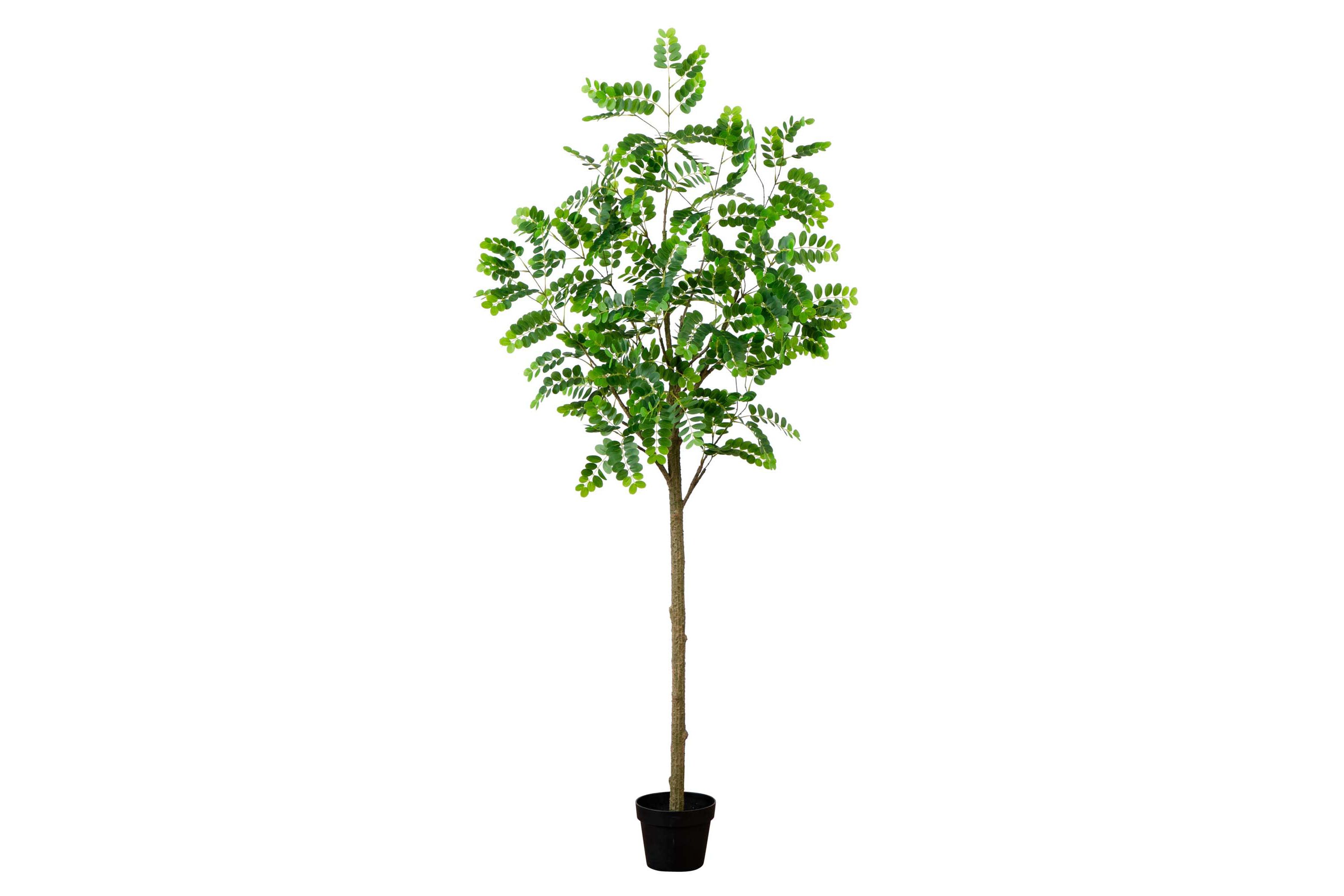 6ft. Artificial Greco Citrus Tree with Real Touch Leaves