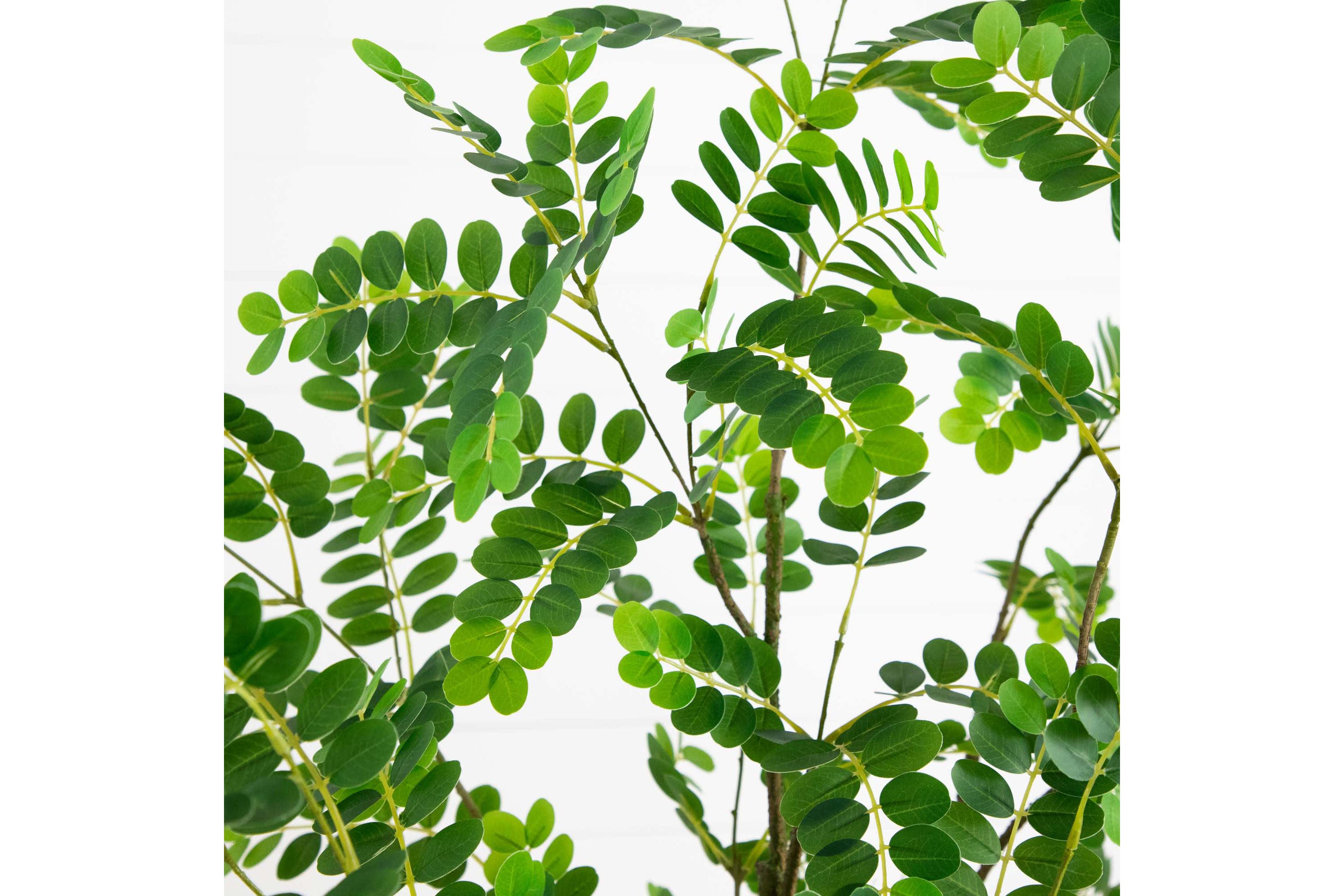 6ft. Artificial Greco Citrus Tree with Real Touch Leaves