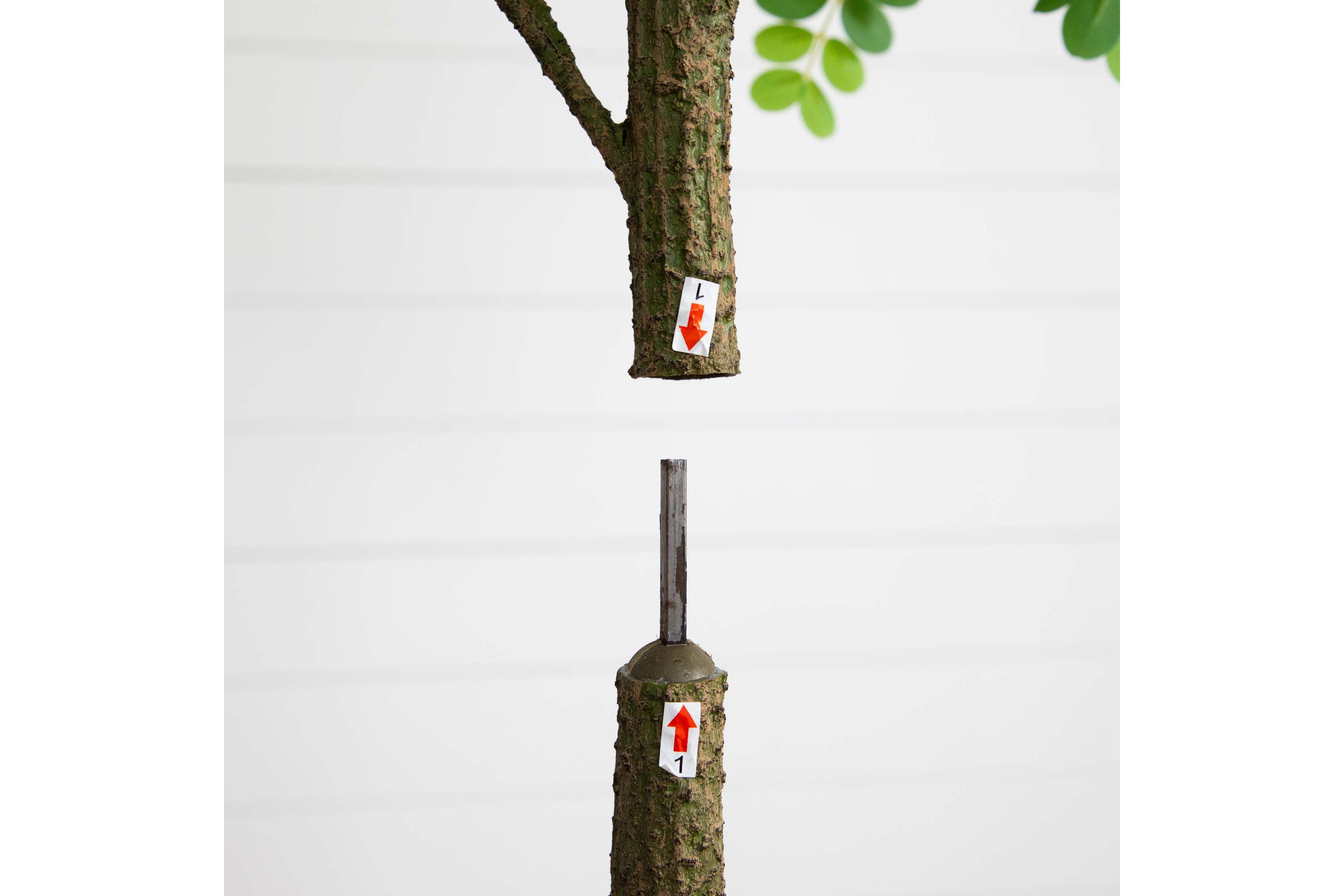 6ft. Artificial Greco Citrus Tree with Real Touch Leaves