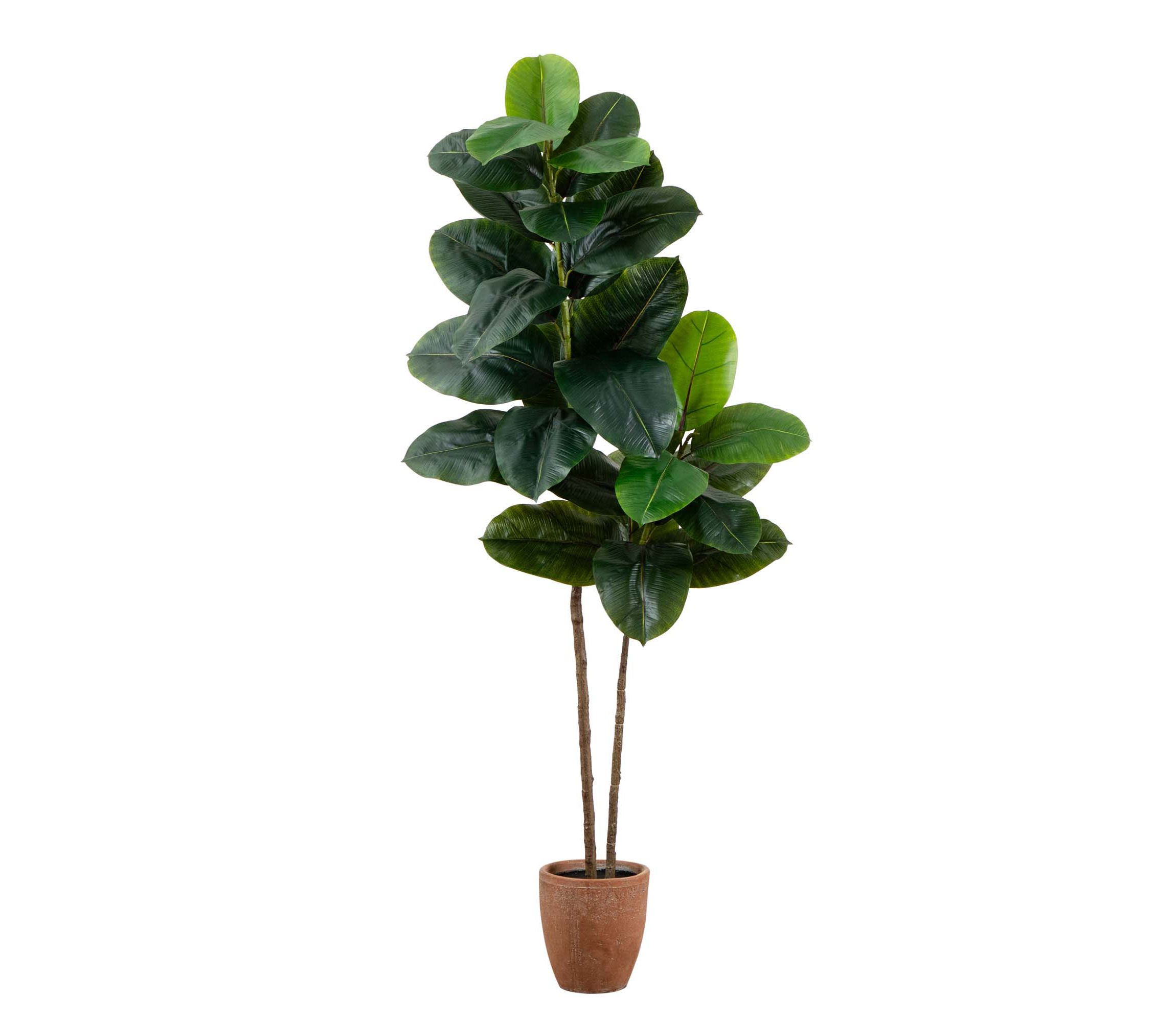 6ft. Artificial Rubber Tree in Decorative Planter with Real Touch Leaves