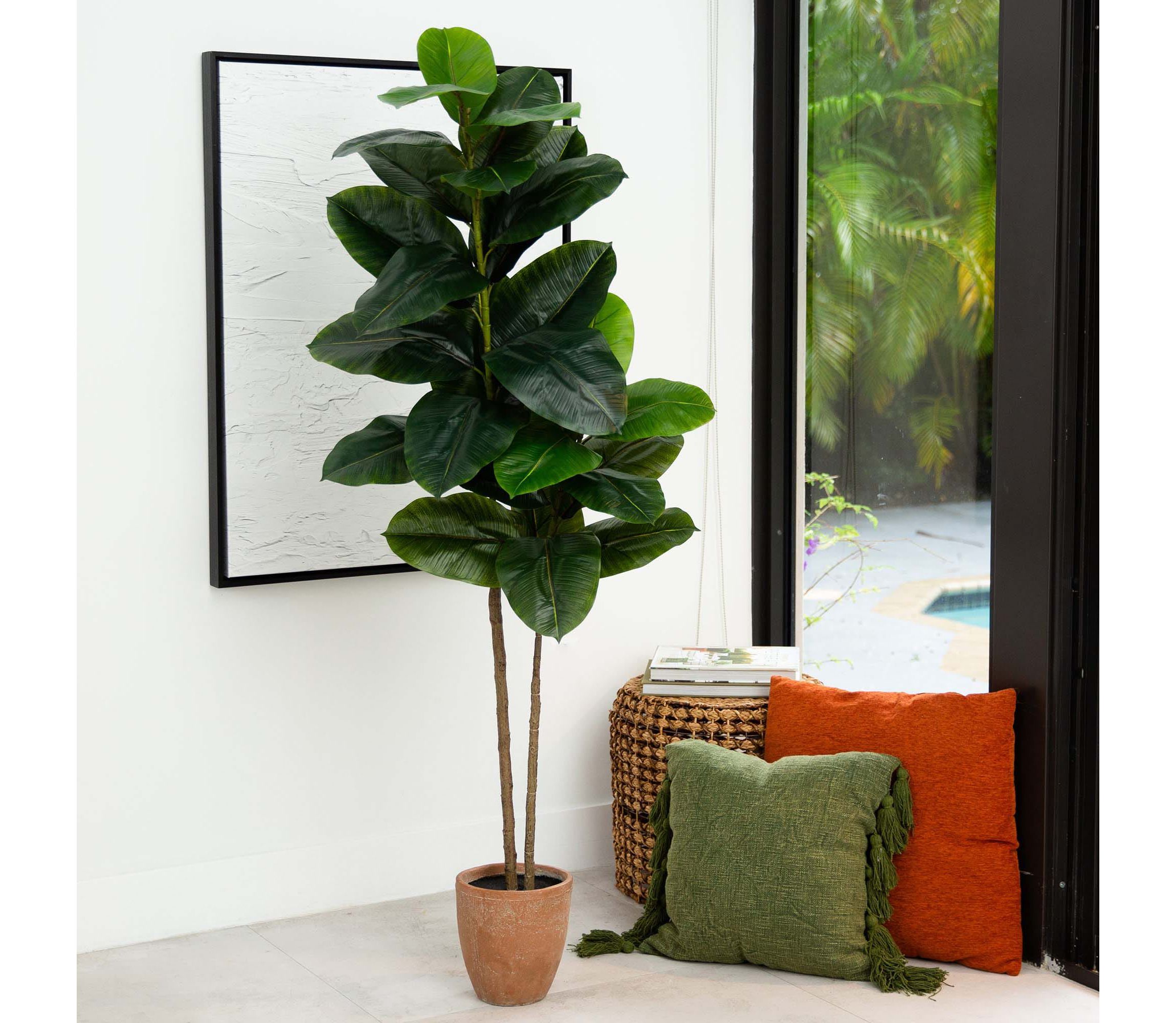 6ft. Artificial Rubber Tree in Decorative Planter with Real Touch Leaves