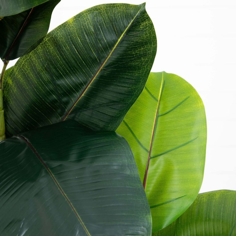 6ft. Artificial Rubber Tree in Decorative Planter with Real Touch Leaves