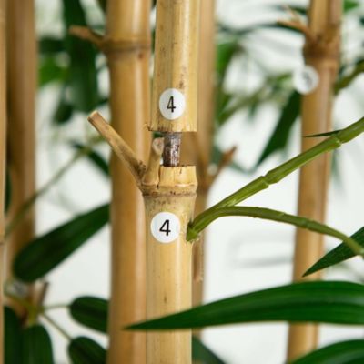 11ft. Artificial Bamboo Tree with Real Bamboo Trunks