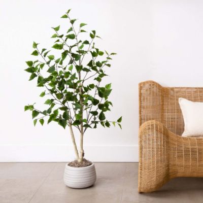 4ft. Artificial Birch Tree with Real Touch Leaves