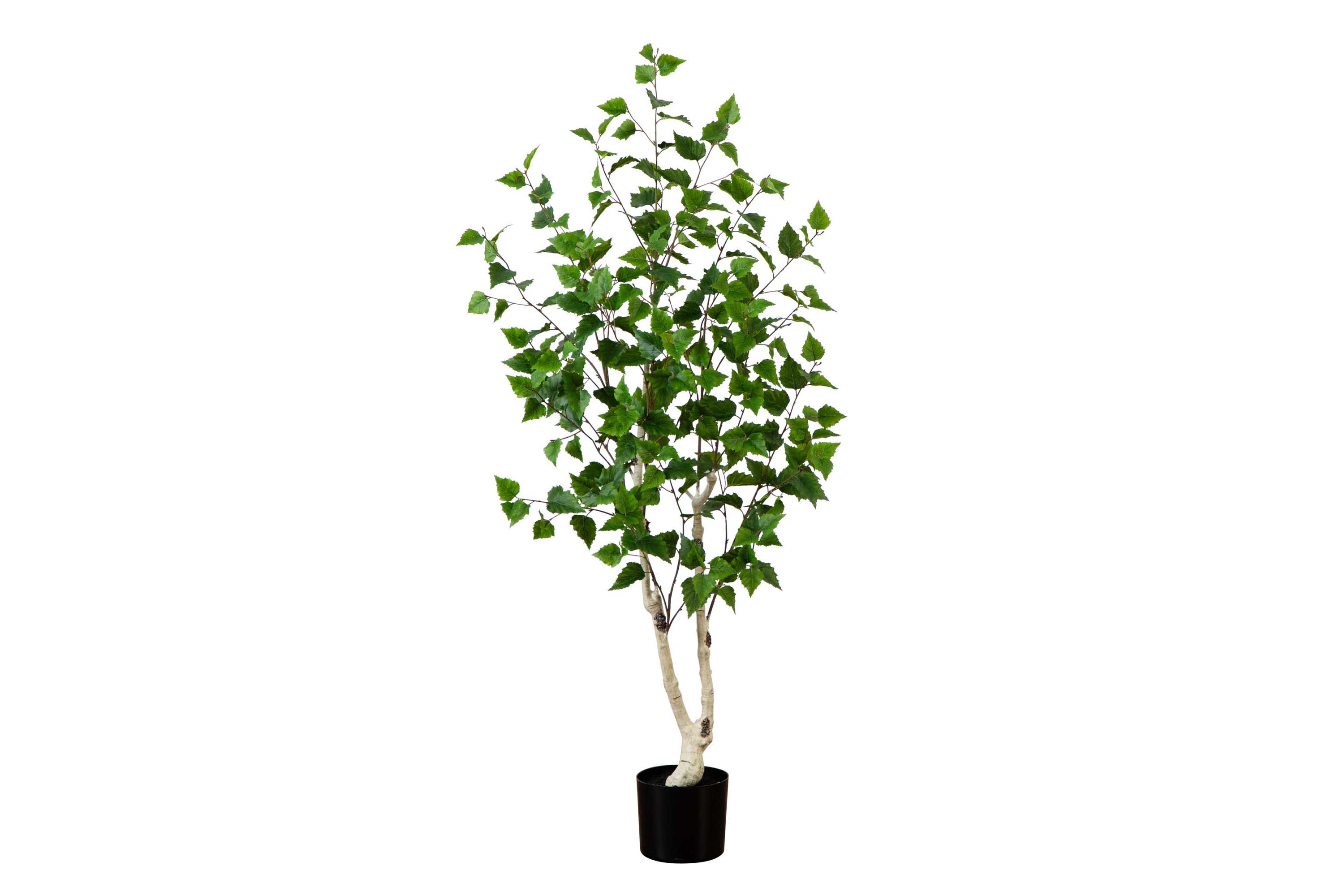 5ft. Artificial Birch Tree with Real Touch Leaves