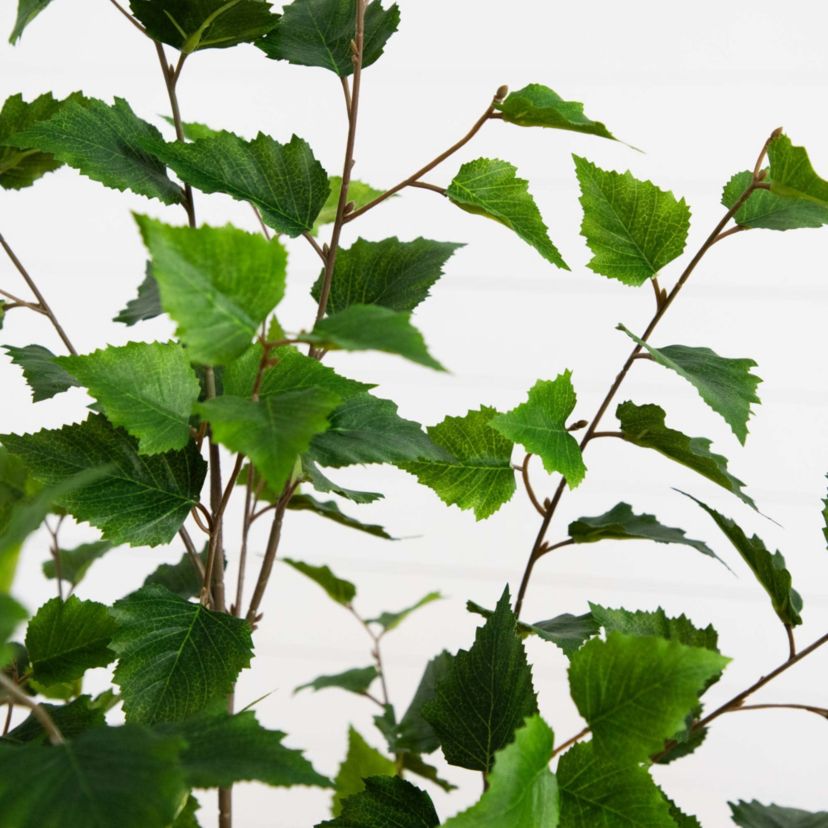 5ft. Artificial Birch Tree with Real Touch Leaves