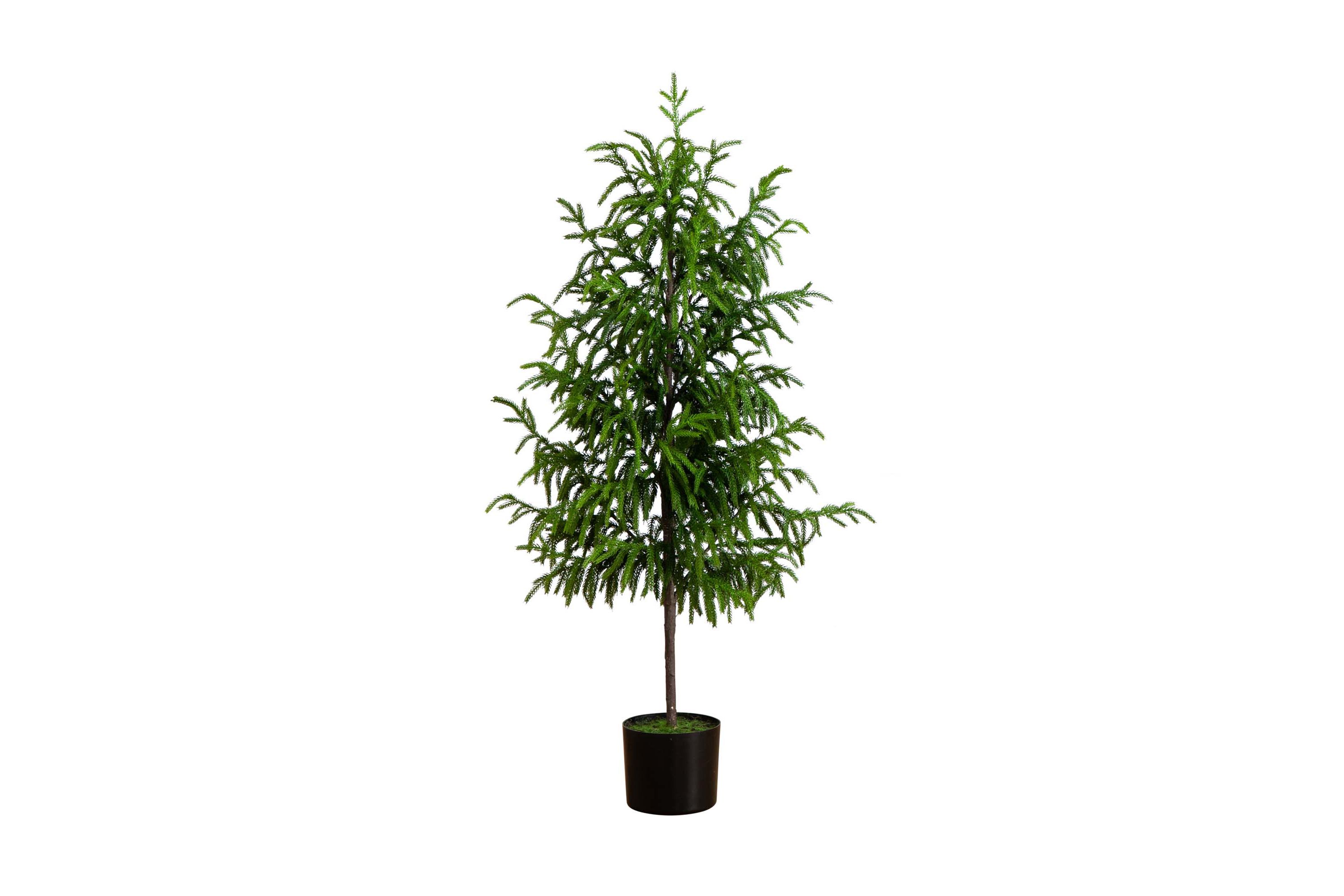 4ft. Artificial Norfolk Pine Tree
