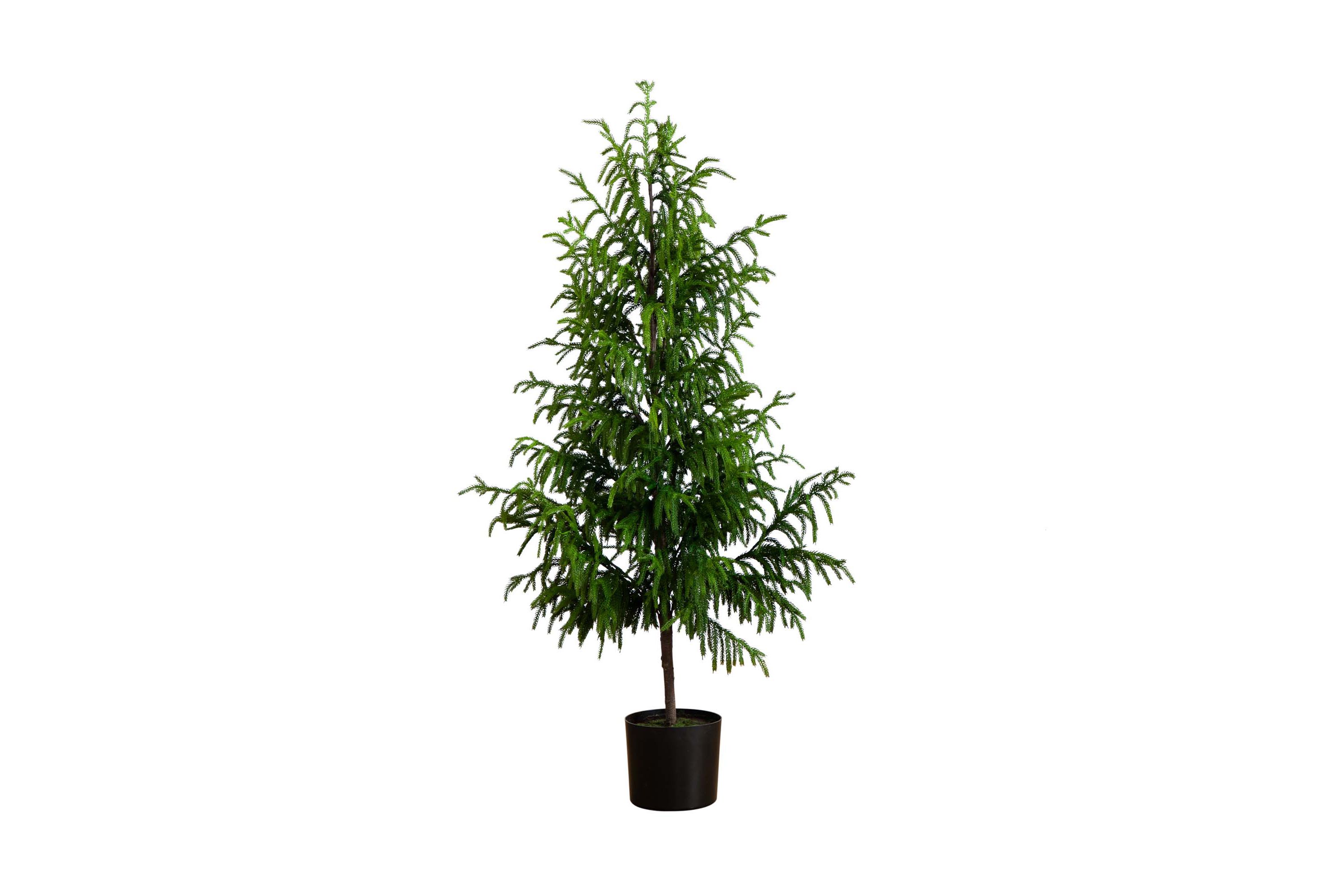 5ft. Artificial Norfolk Pine Tree