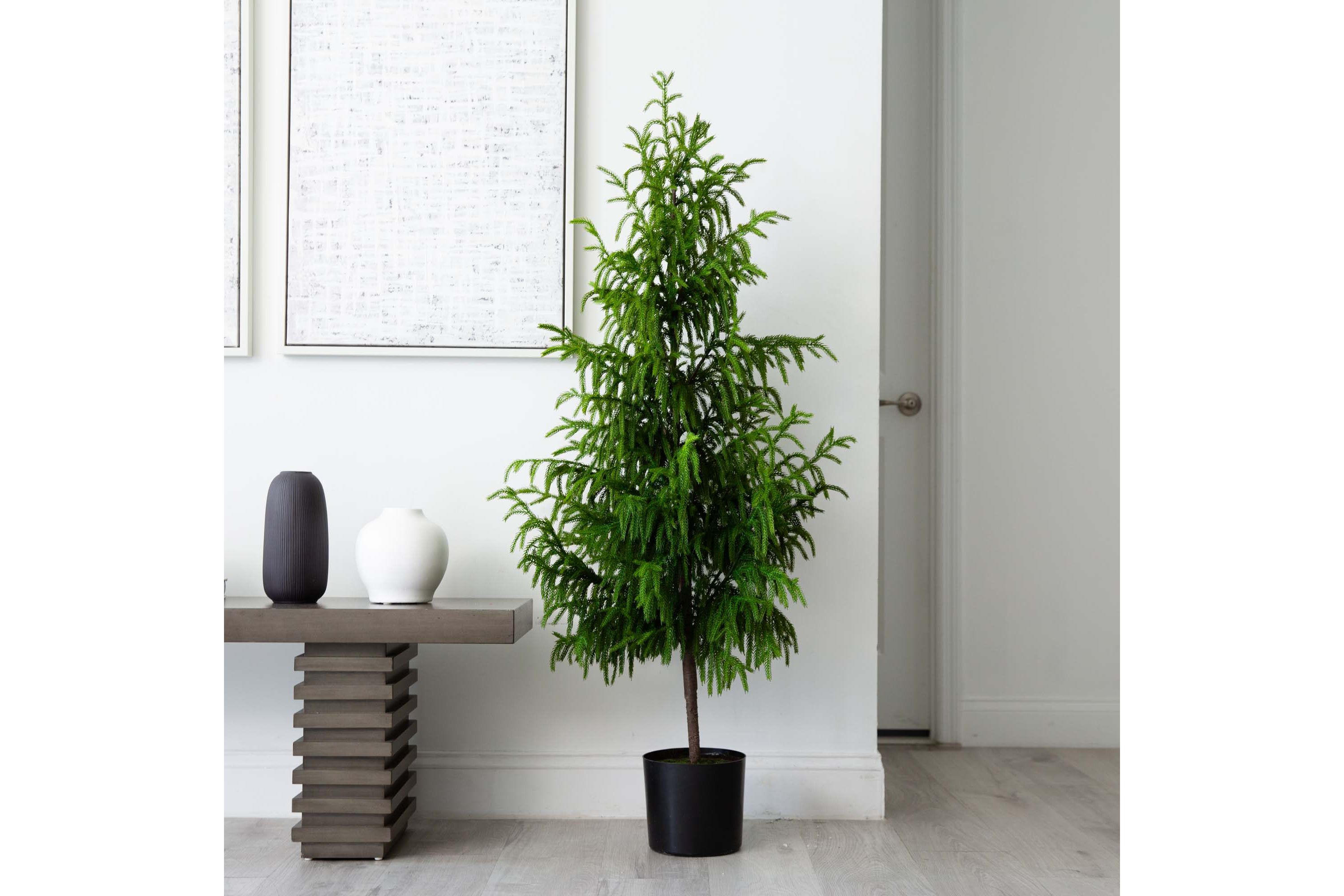 5ft. Artificial Norfolk Pine Tree