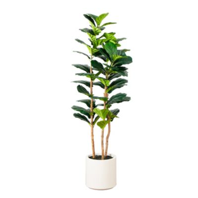 Nearly Natural 5ft. Artificial Fiddle Leaf Tree in Decorative White Planter