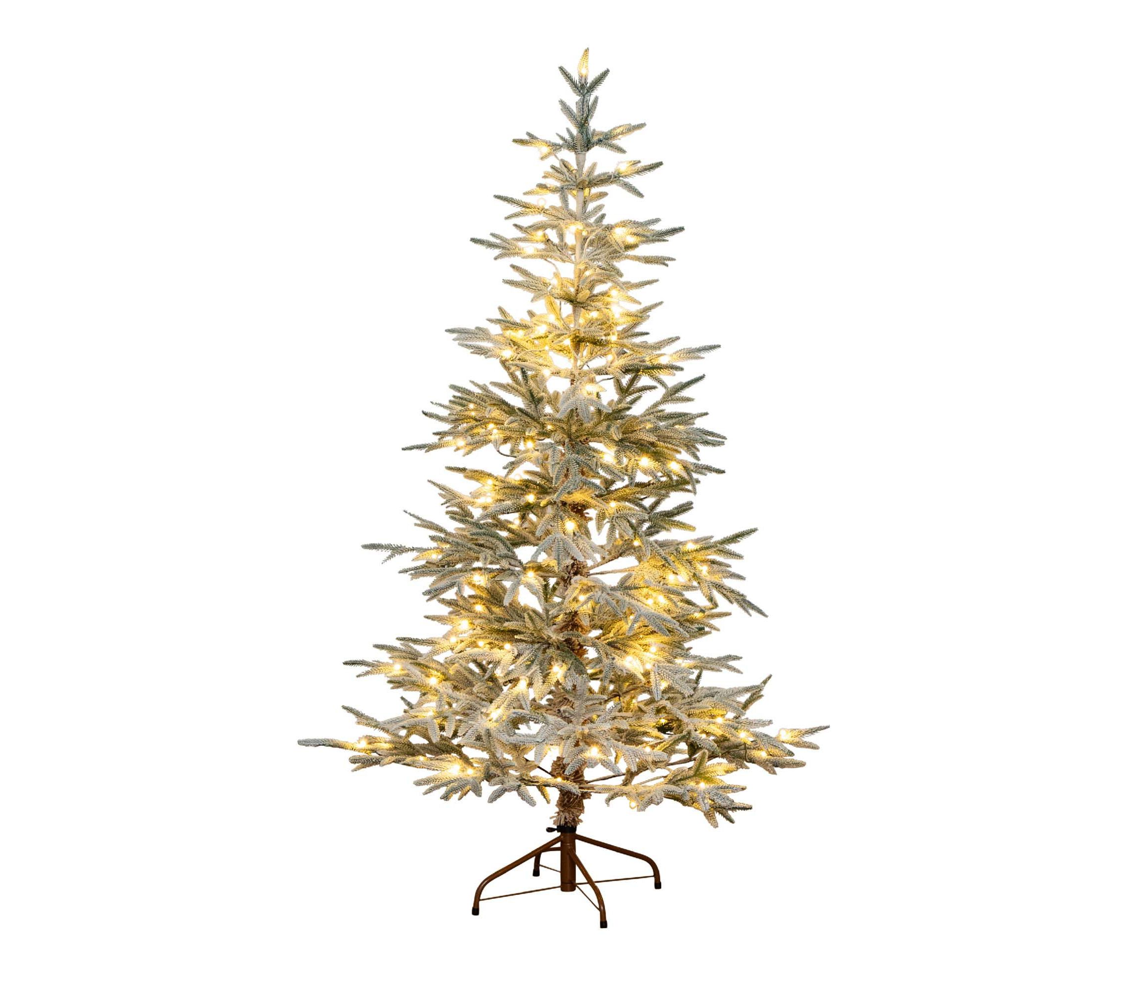 6ft. Pre-Lit Artificial Flocked Woodland Fir Christmas Tree with 150 Warm White LED Lights