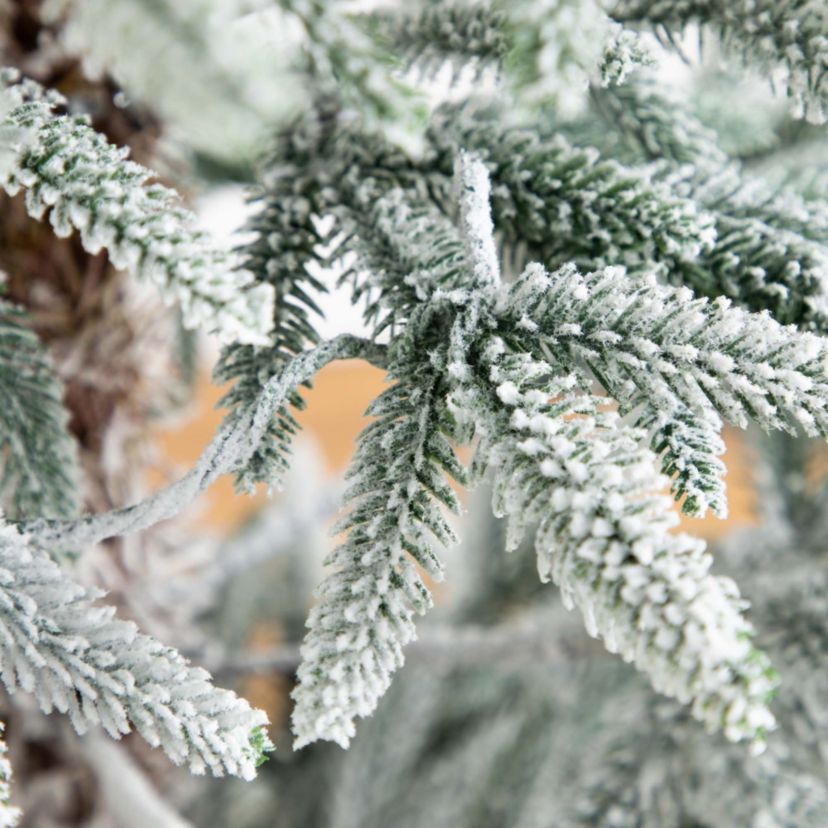 6ft. Pre-Lit Artificial Flocked Woodland Fir Christmas Tree with 150 Warm White LED Lights