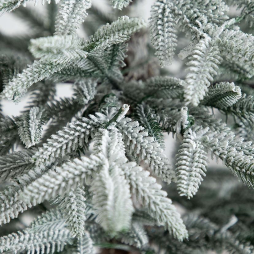 7ft. Pre-Lit Artificial Flocked Woodland Fir Christmas Tree with 200 Warm White LED Lights