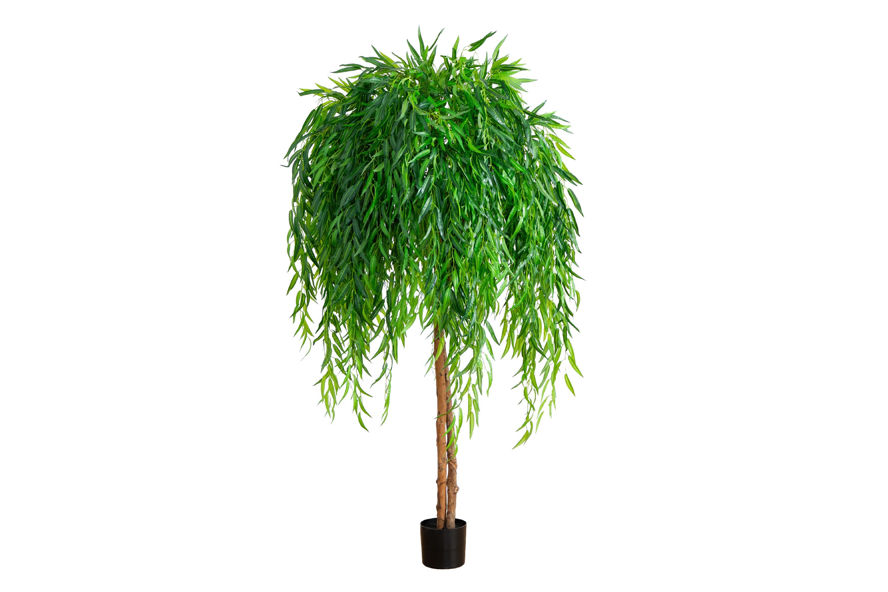 6ft. Willow Artificial Tree (Real Touch)