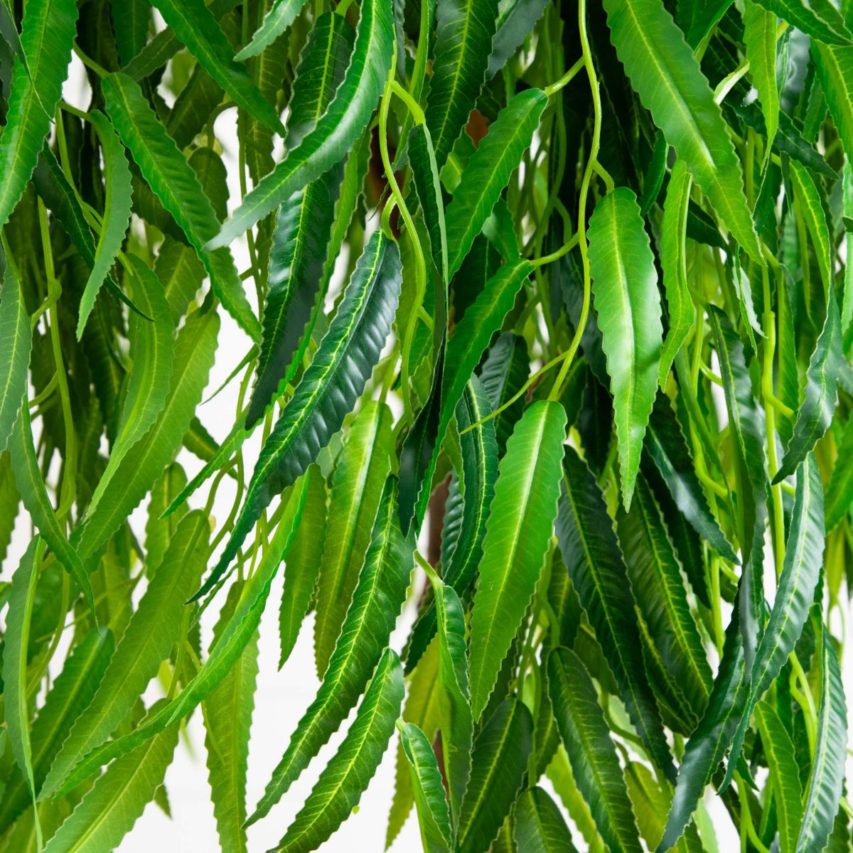 6ft. Willow Artificial Tree (Real Touch)